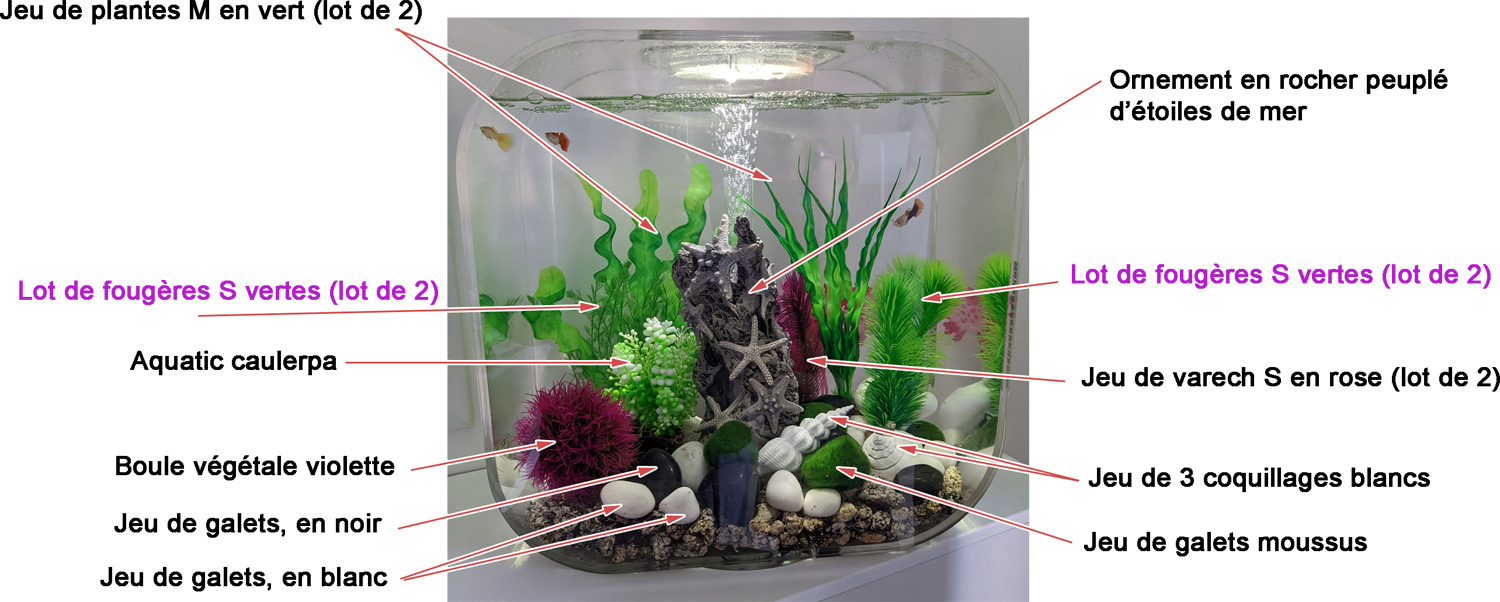 mon aquarium Biorb Life 30 décoré en vert violet blanc étoile de mer